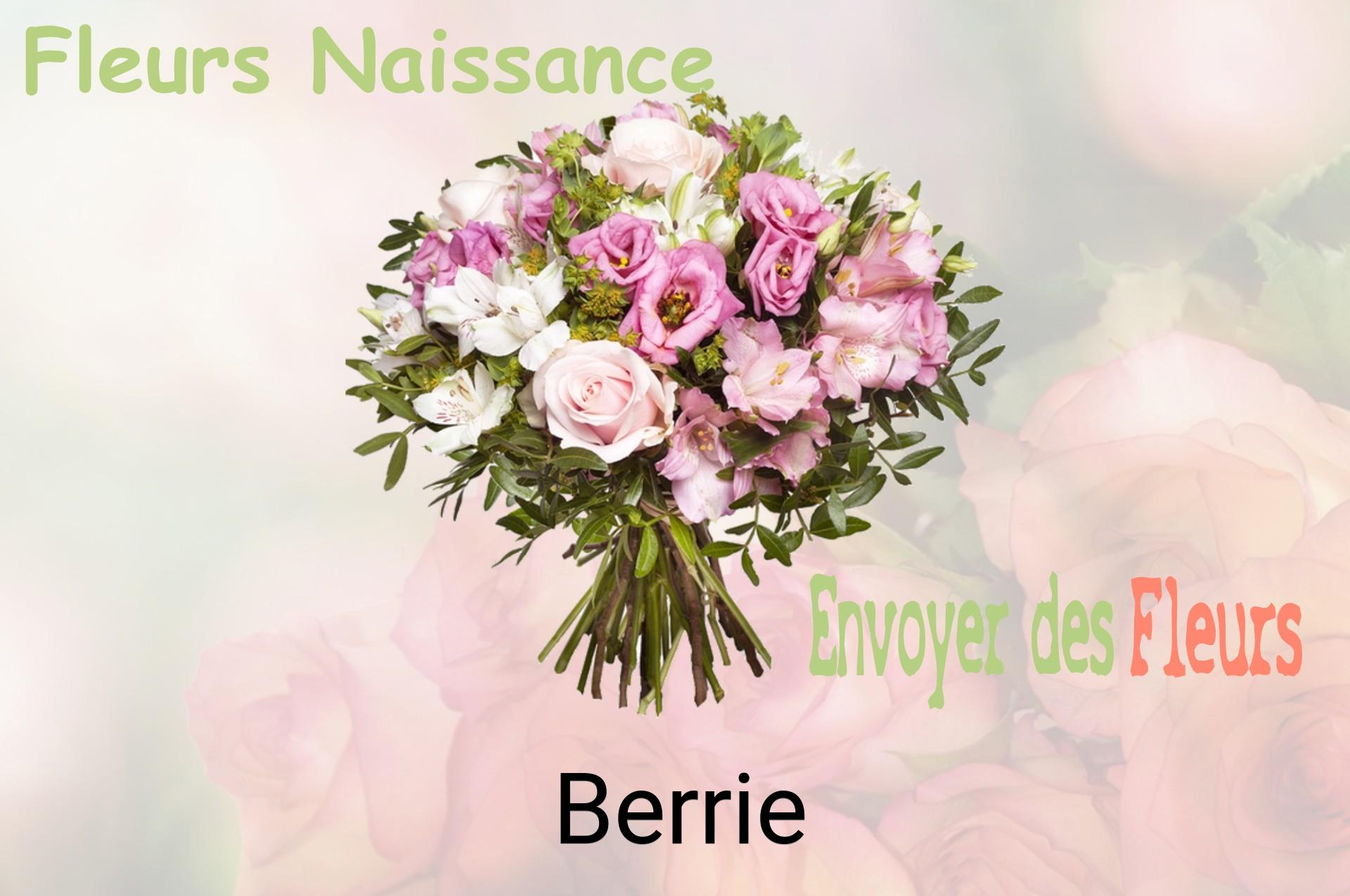 Bouquet de fleurs de naissance livré à Berrie